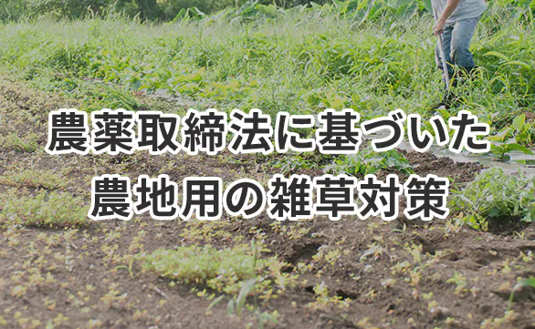 畑の雑草対策