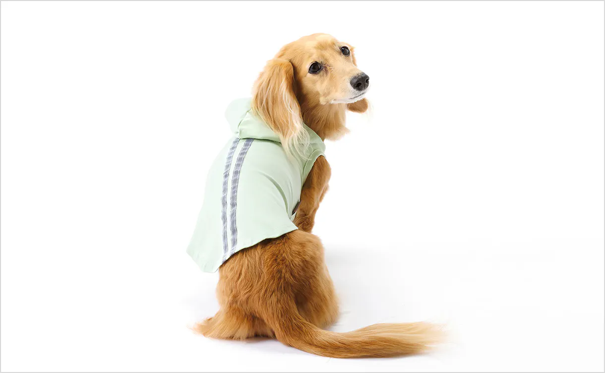 pet_wear_img06_1220x752.jpg