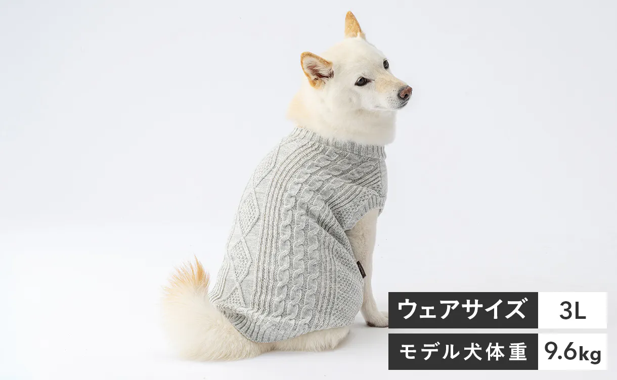 pet_wear_img04b_1220x752.jpg