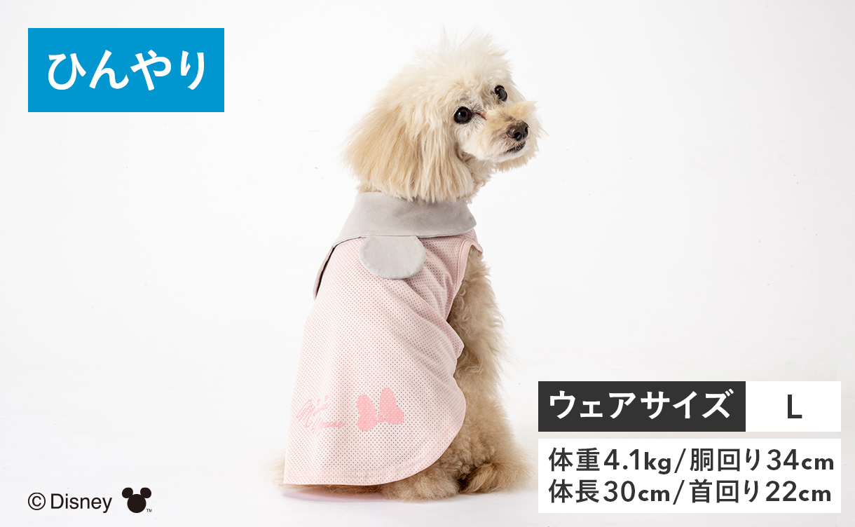 2026年春夏】おしゃれでかわいい犬服・ドッグウェア特集｜ひんやり機能
