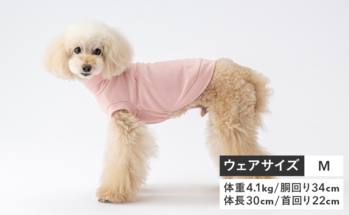 秋冬の新作登場！おしゃれで機能的な犬服・ドッグウェア特集