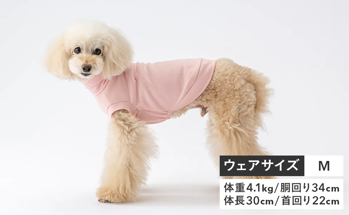 pet_wear_img02a_1220x752.jpg