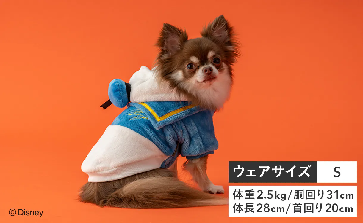 pet_wear_img05b_1220x752.jpg