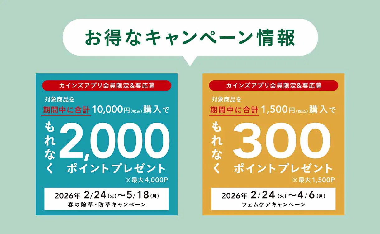 お得なキャンペーン