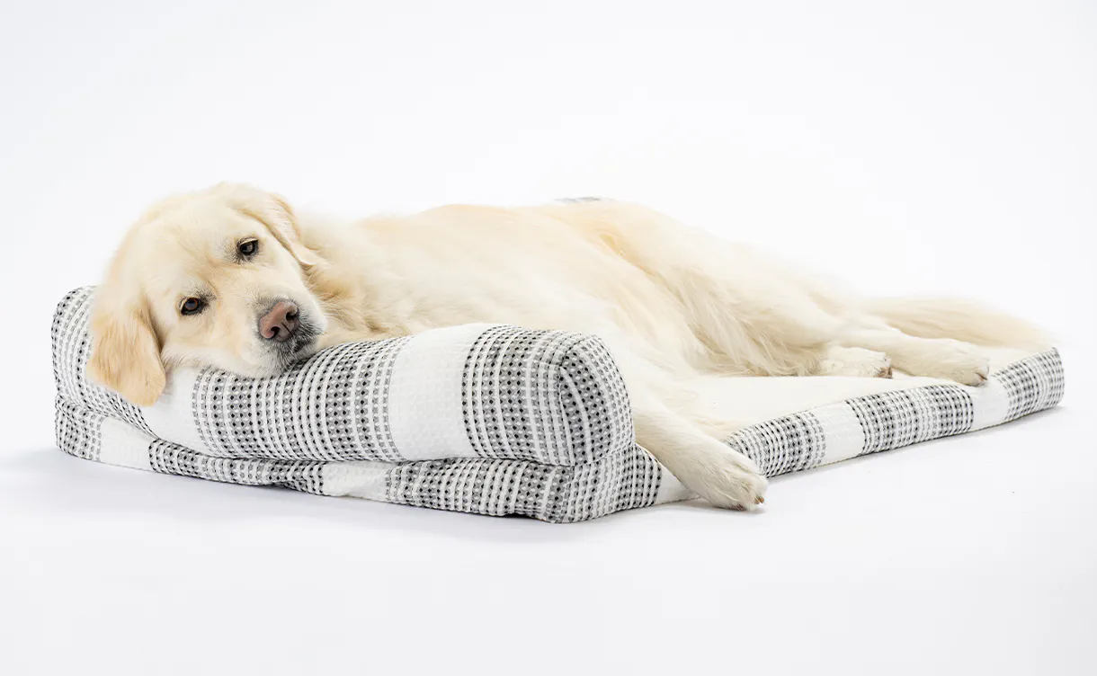 pet_bed_4550596212197_1220x752.jpg
