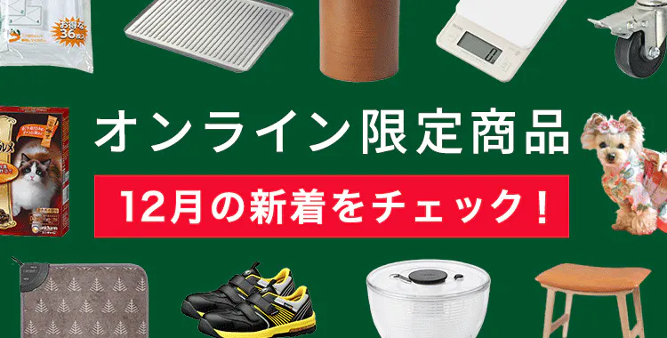 今月の新着オンライン限定商品