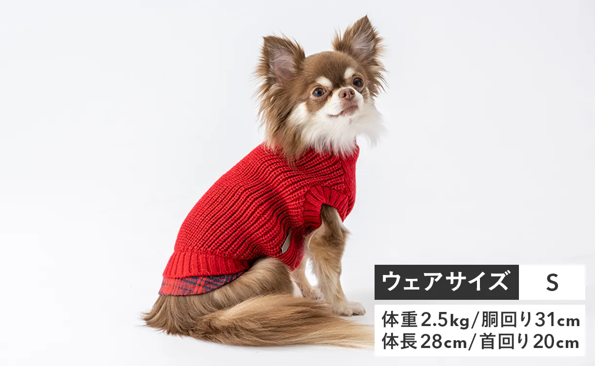 pet_wear_img04a_1220x752.jpg