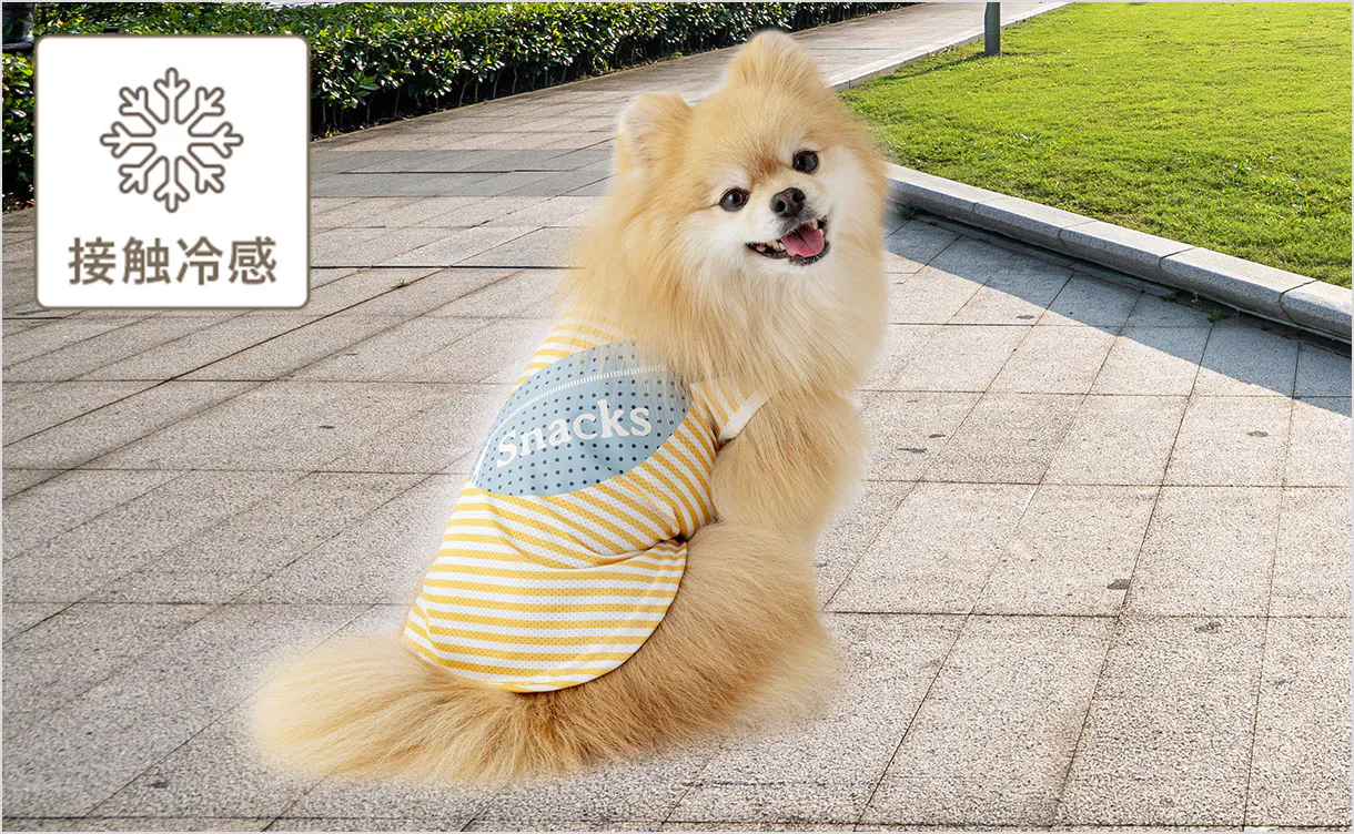pet_wear_img01_1220x752.jpg