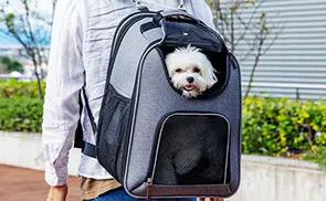 おさんぽ・おでかけグッズ