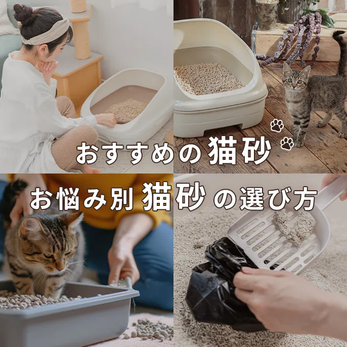【徹底解説】おすすめの猫砂・お悩み別猫砂の選び方