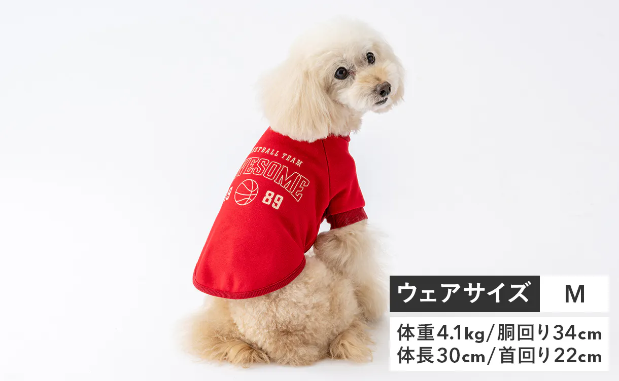 pet_wear_img01_1220x752.jpg