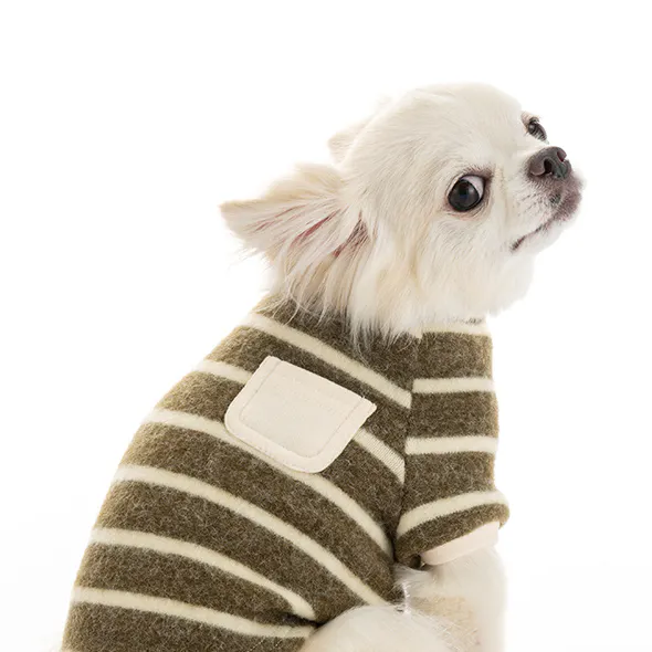 pet_wear_gallery_img1_590x590.jpg