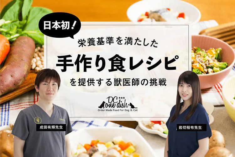 愛犬に「手作り料理」は危険？｜WanQol