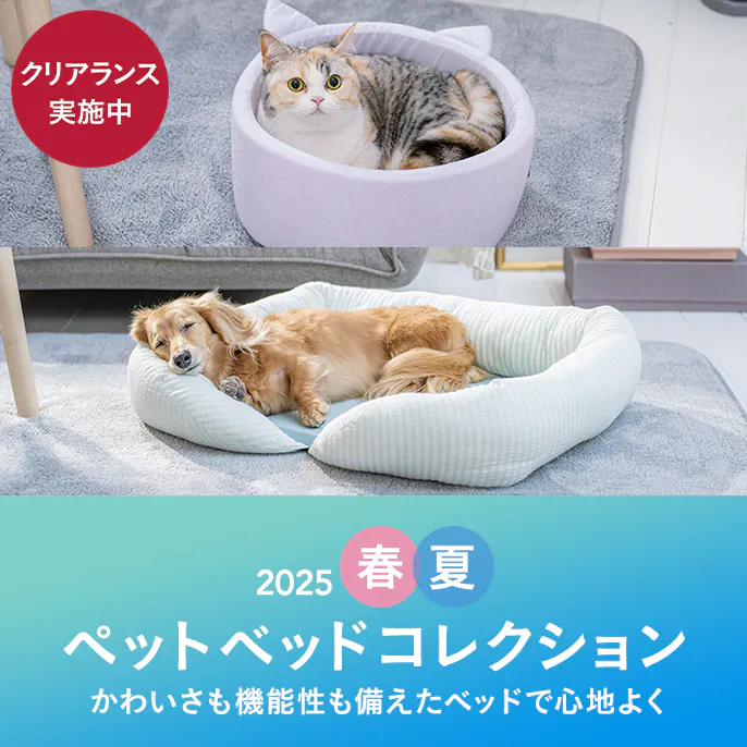 おすすめの愛犬・愛猫ペットベッドを機能や形別にご紹介