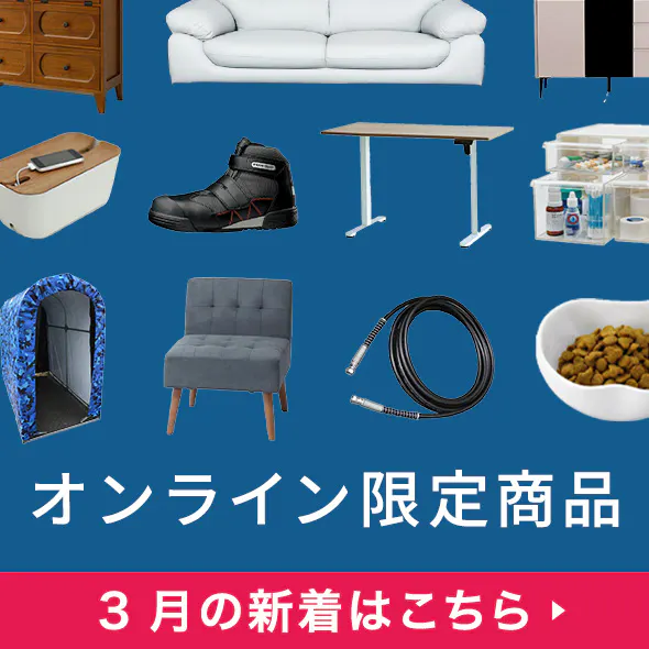 今月の新着オンライン限定商品