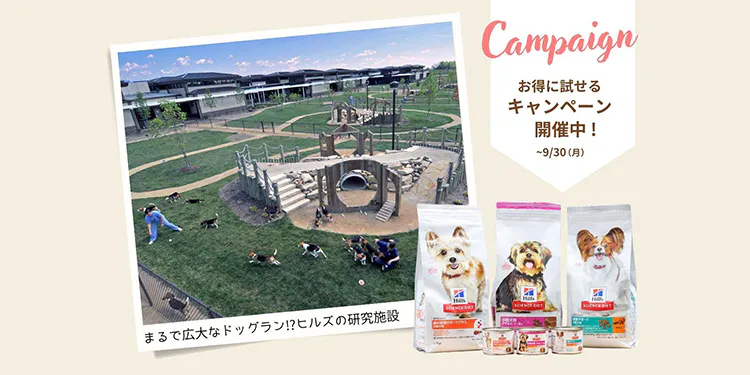 900頭以上の社員犬・猫とペットフードを研究!? 科学的根拠に基づくヒルズの開発技術｜WanQol