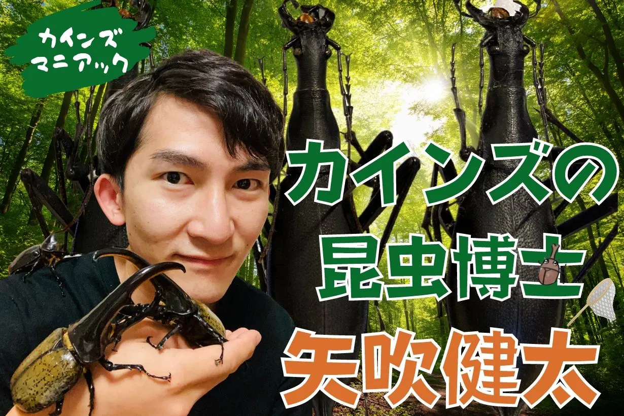 「夢は日本中のマイマイカブリを集めること」“カインズの昆虫博士” 矢吹健太が語る昆虫標本の作り方|となりのカインズさん