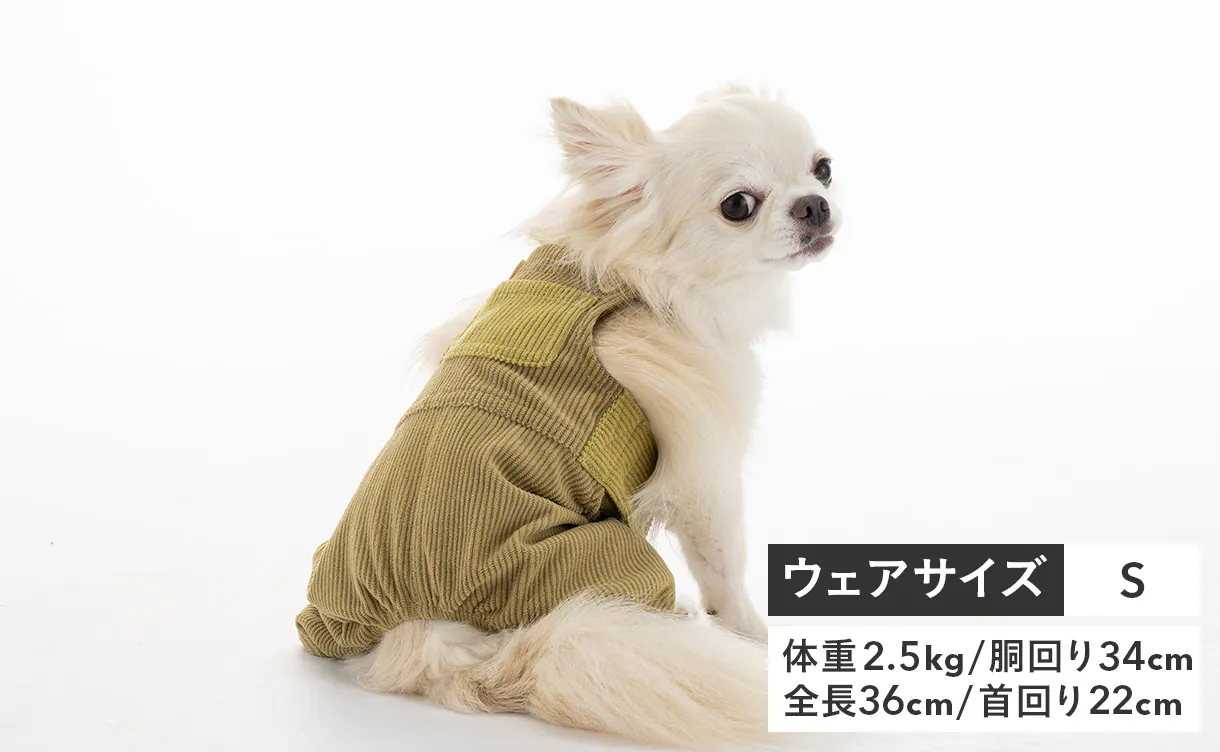 pet_wear_4550596258423_1_1220x752.jpg