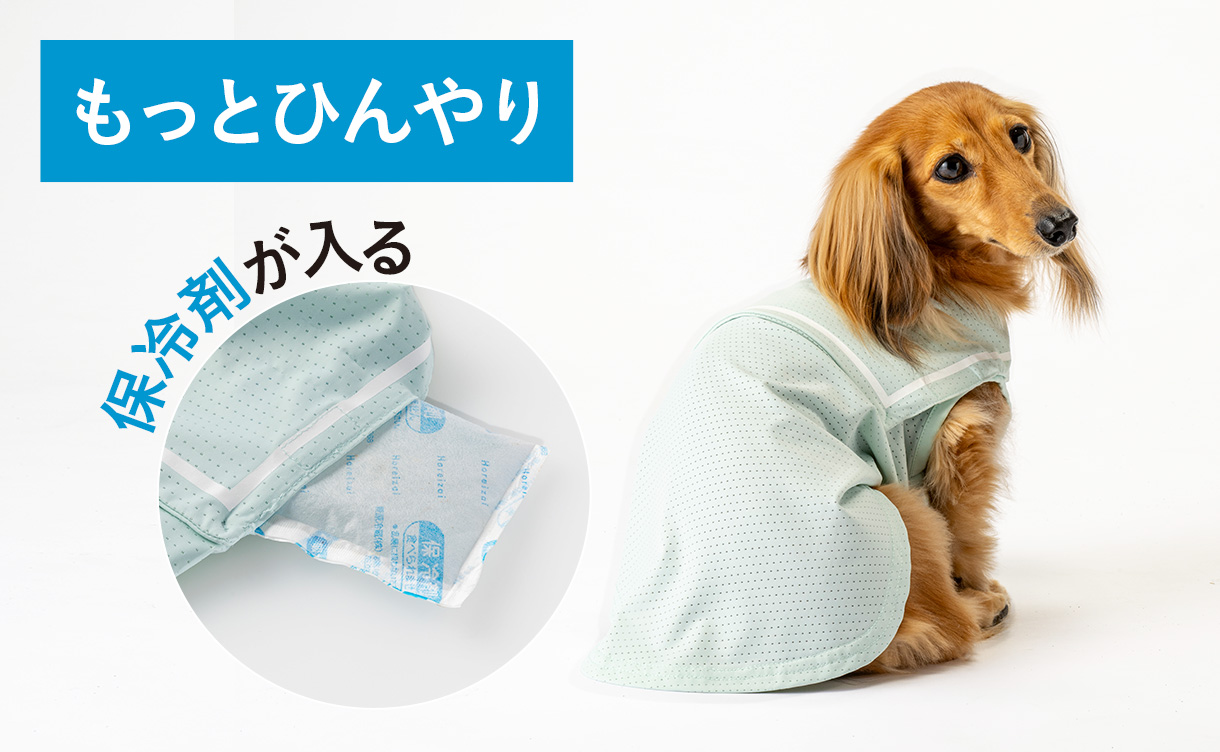 犬服 3S わんこの普段着　インコさんベージュ 2026年春夏】おしゃれでかわいい犬服・ドッグウェア特集｜ひんやり機能