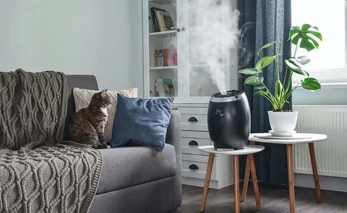 厳選！おすすめ加湿器5選｜加湿器を選ぶポイントも詳しく解説｜となりのカインズさん