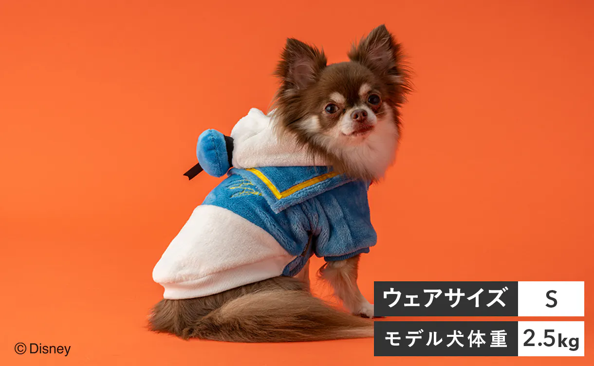 pet_wear_img05b_1220x752.jpg