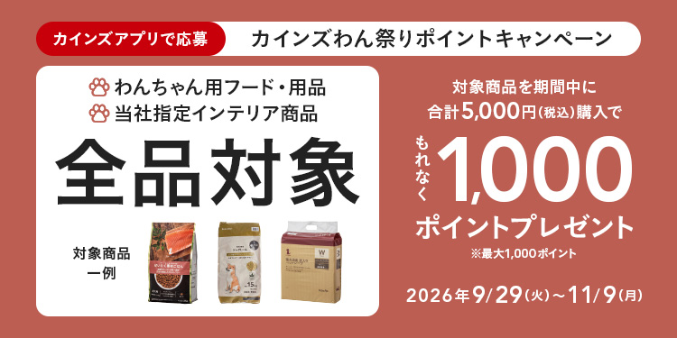 春休み(⁠◕⁠ᴗ⁠◕⁠✿⁠)家計応援！メガ盛り！スペシャルセット♡ オンラインショップ限定キャンペーンも開催中！キャンペーン情報
