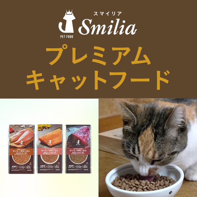 特集・キャンペーン一覧｜ホームセンターのカインズ公式通販サイト