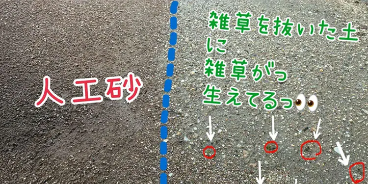 カインズのお客様に実際に使っていただきました｜CAINZ DIY Square