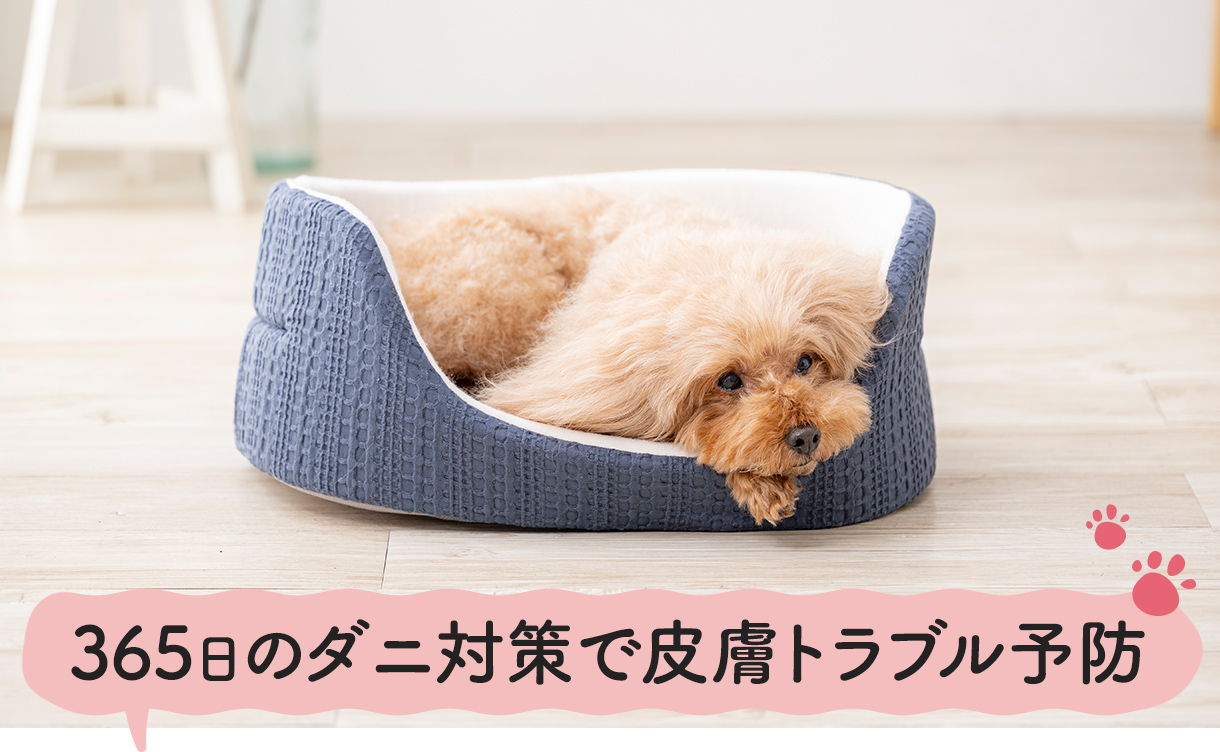 2026年春夏】新作ペットベッドを​機能や​形別に​ご紹介