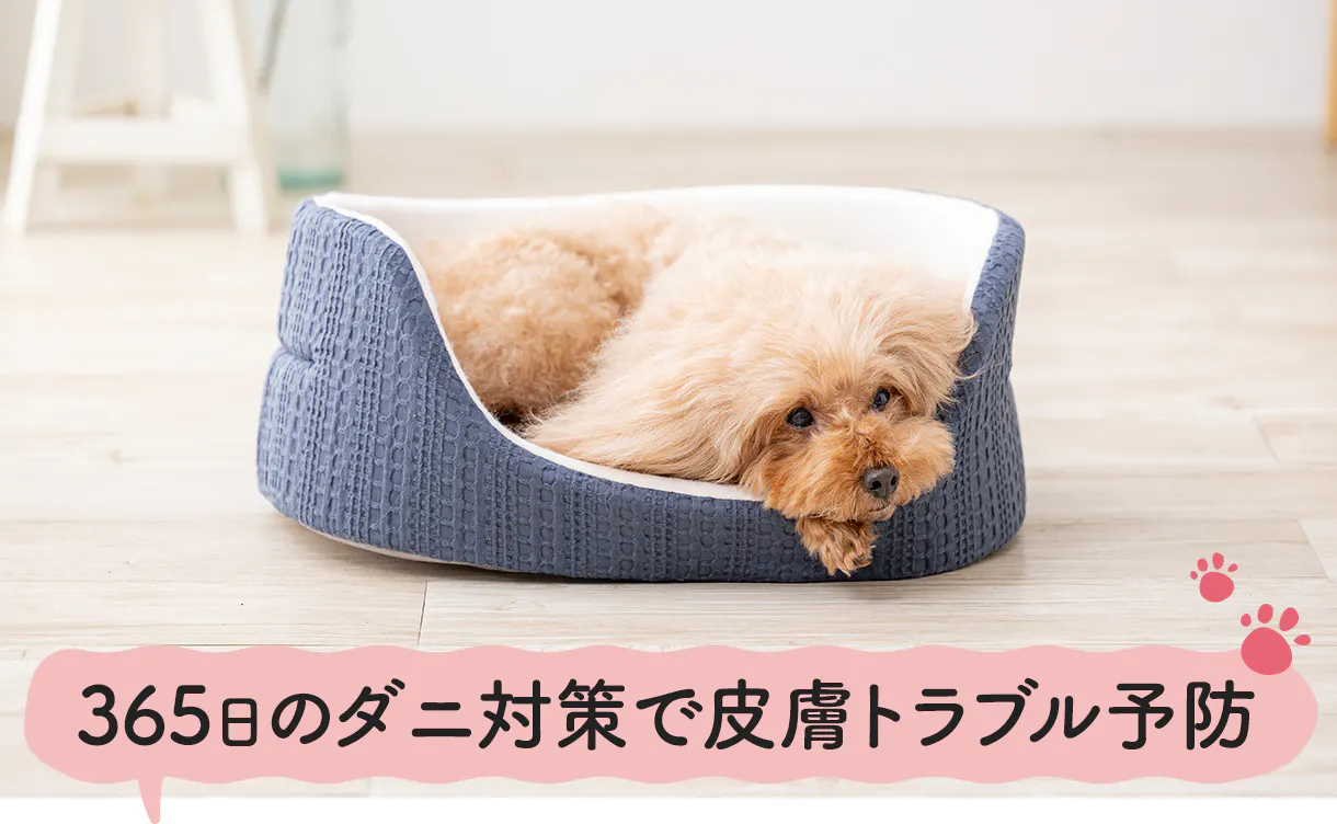 防ダニ 抗菌防臭ペットベッド