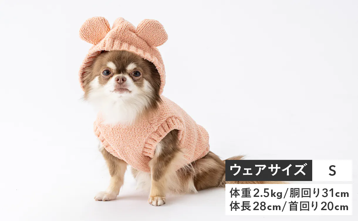 pet_wear_img08_1220x752.jpg