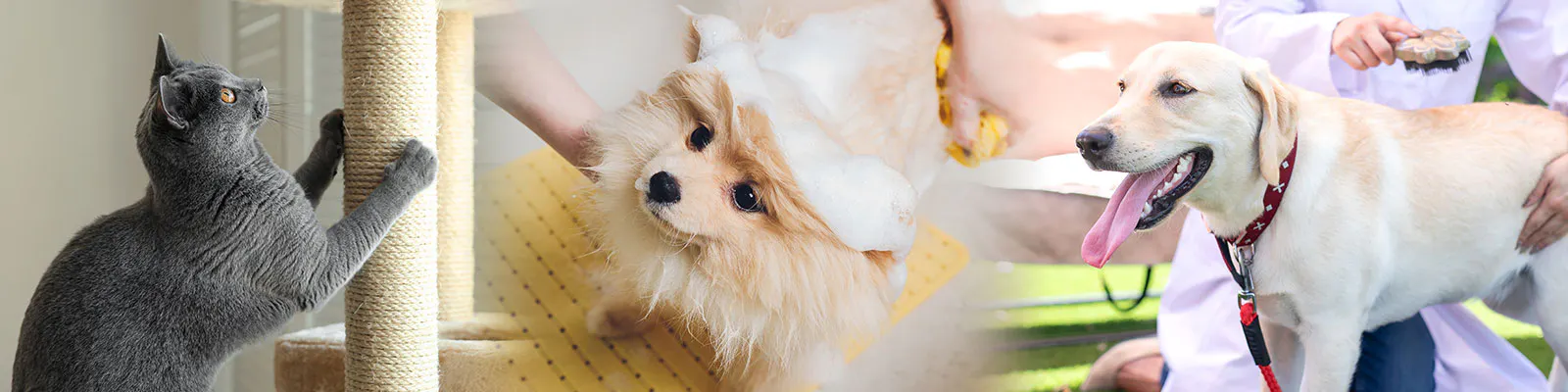 夏準備、梅雨対策