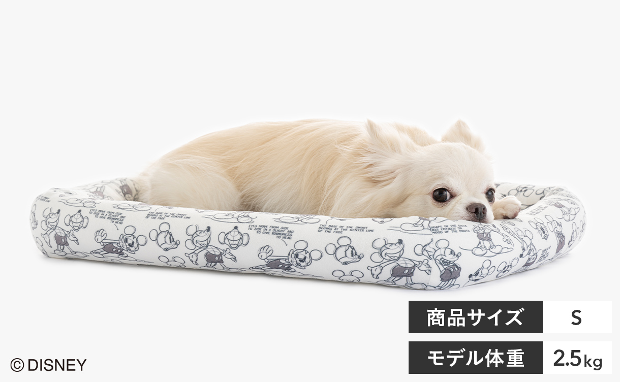 2026年秋冬】犬用・猫用ベッド特集｜くつろぎ方・サイズから​選ぶ