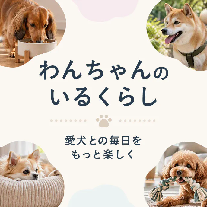 わんちゃんのいるくらし