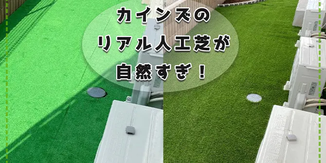 となりのカインズさん