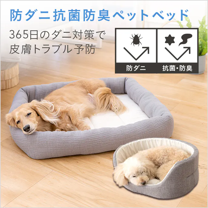 防ダニ抗菌防臭ペットベッド一覧