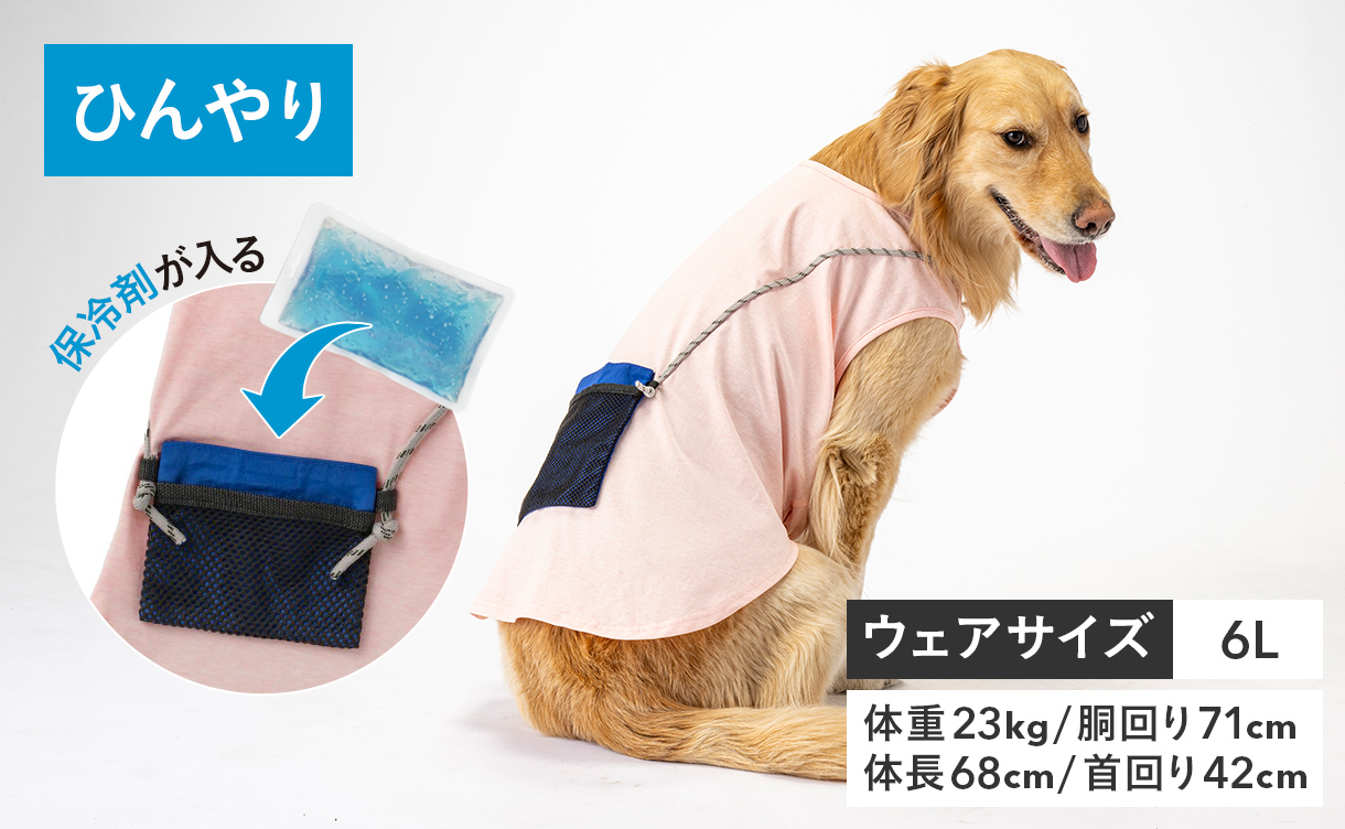 2026年春夏】おしゃれでかわいい犬服・ドッグウェア特集｜ひんやり機能