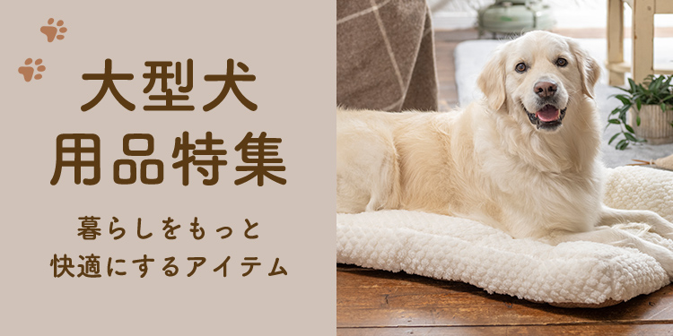 おすすめの大型犬用品