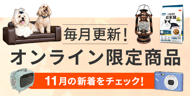 今月の新着オンライン限定商品