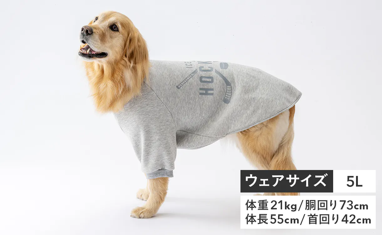 pet_wear_img07_1220x752.jpg