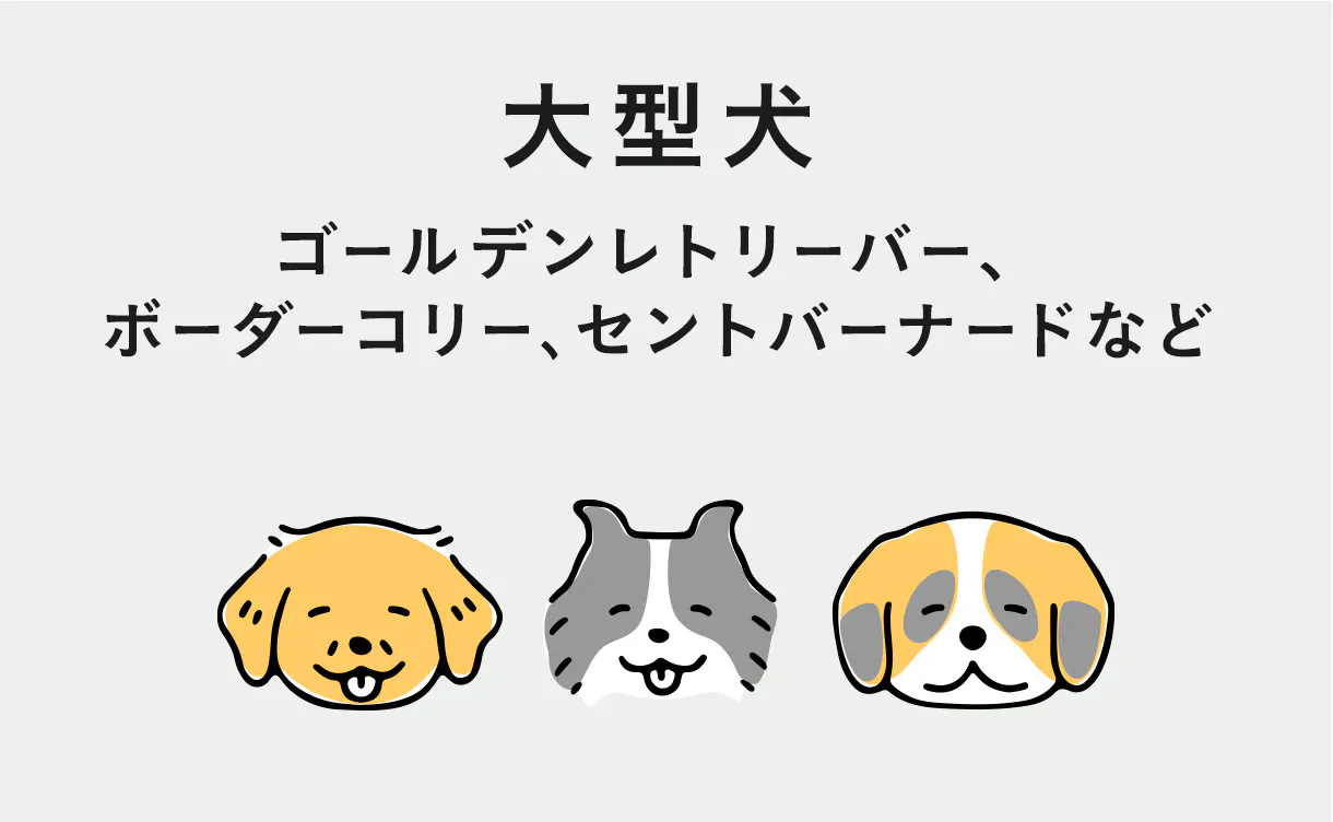 スーパーワイドサイズ