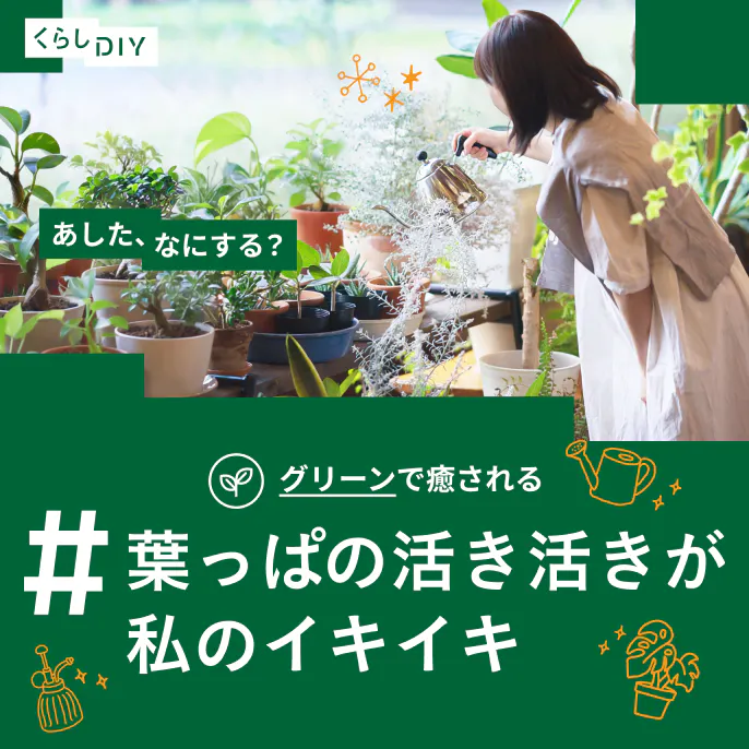 【あした、なにする?】観葉植物のあるくらし