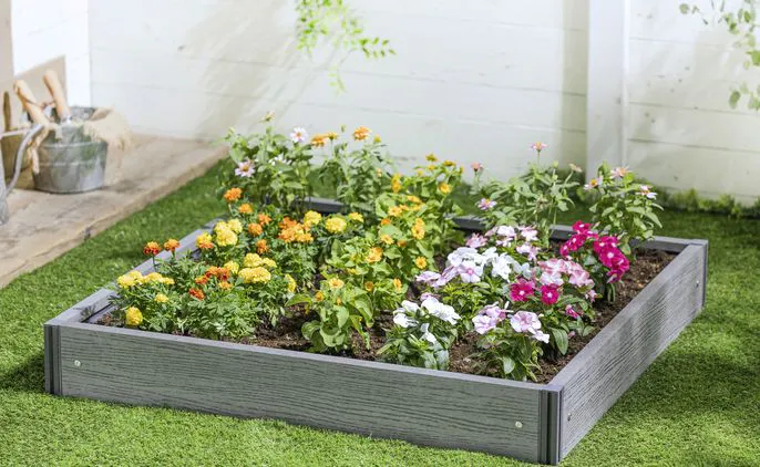 鉢・プランター