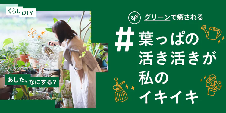 【あした、なにする?】観葉植物のあるくらし