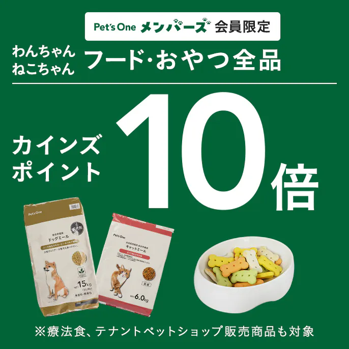 【11月1・2・8・9日限定】フード・おやつ全品10倍ポイントキャンペーン