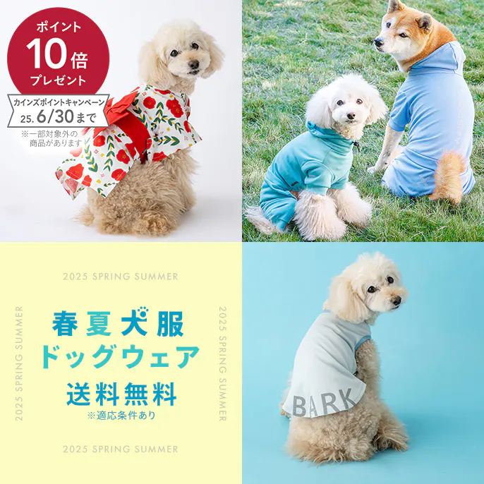 犬服・ドッグウェア特集