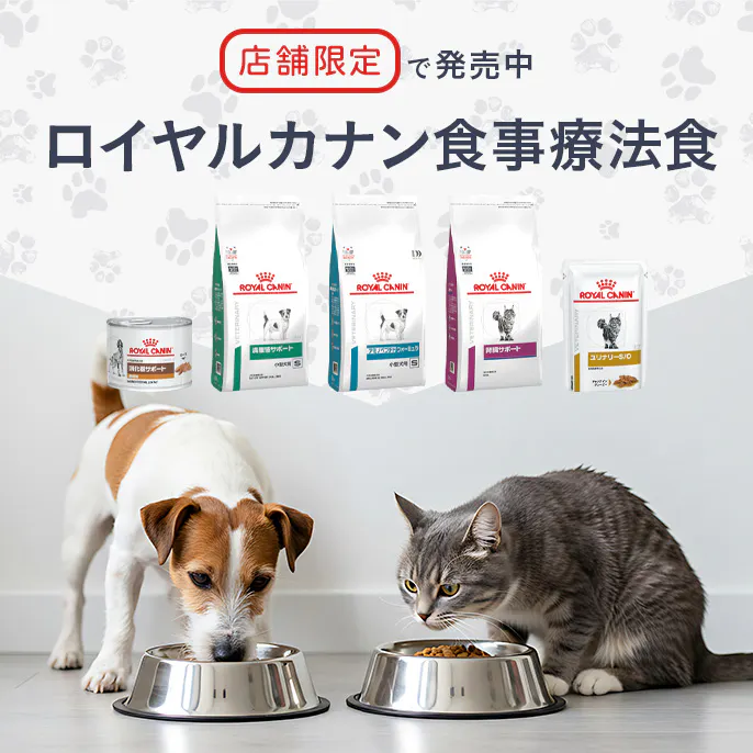 【店舗限定】ロイヤルカナン食事療法食の購入について