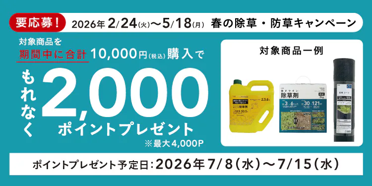 春の除草・防草キャンペーン