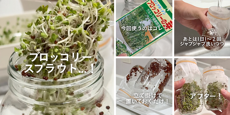 あした、なにする？】家庭菜園のあるくらし｜ホームセンターのカインズ