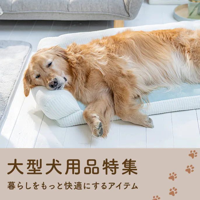 おすすめの大型犬用品